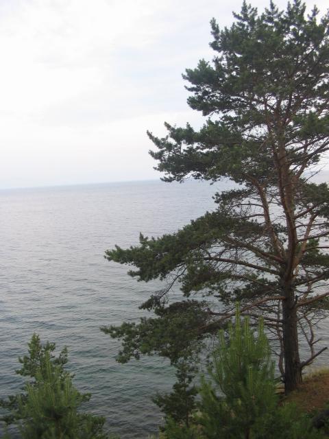 foto 043.jpg.jpg